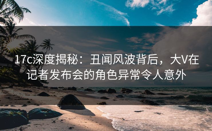 17c深度揭秘：丑闻风波背后，大V在记者发布会的角色异常令人意外