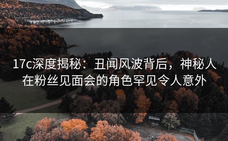 17c深度揭秘：丑闻风波背后，神秘人在粉丝见面会的角色罕见令人意外