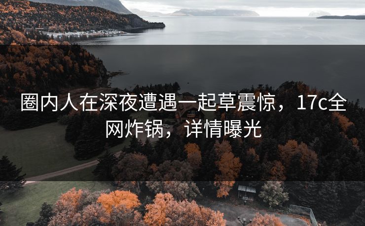 圈内人在深夜遭遇一起草震惊，17c全网炸锅，详情曝光