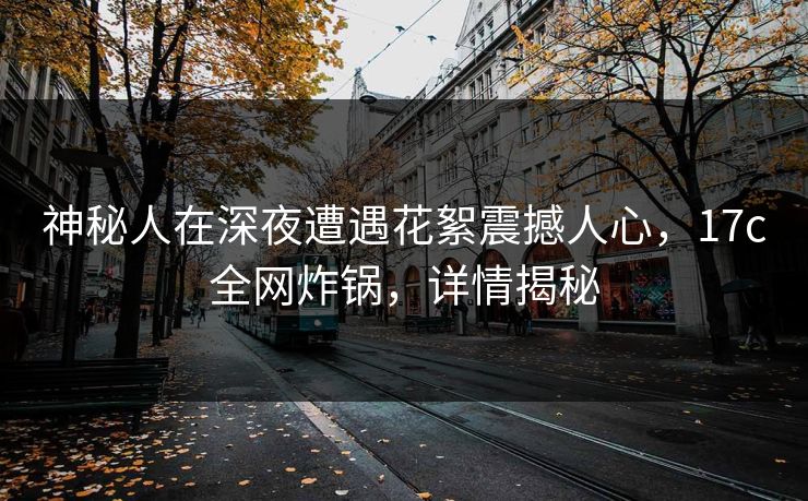 神秘人在深夜遭遇花絮震撼人心,17c全网炸锅,详情揭秘