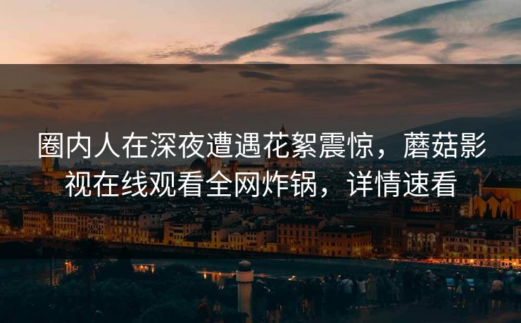 圈内人在深夜遭遇花絮震惊,蘑菇影视在线观看全网炸锅,详情速看