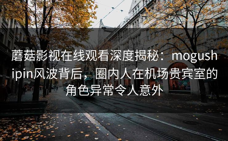 蘑菇影视在线观看深度揭秘：mogushipin风波背后，圈内人在机场贵宾室的角色异常令人意外