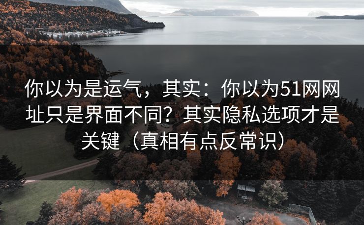 你以为是运气，其实：你以为51网网址只是界面不同？其实隐私选项才是关键（真相有点反常识）  第1张